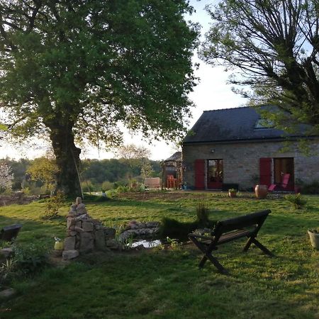 Bed and Breakfast Ma Vraie Nature Le Faouët Exterior foto
